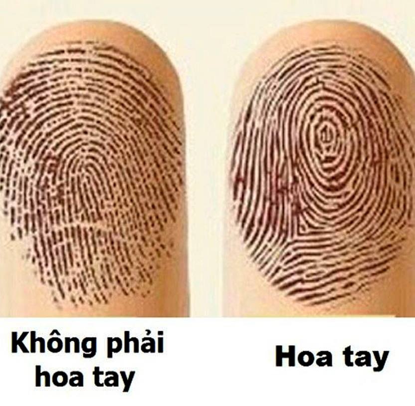 Bói Hoa Tay
