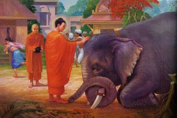 Thân vĩnh viễn từ bỏ sự giết hại các loài hữu tình (một trong 10 nghiệp lành)